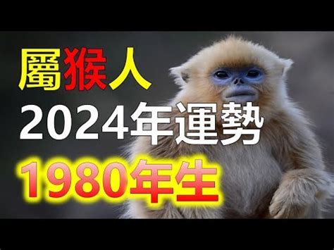 1980屬猴十年運勢|【1980猴】1980猴命運解讀！五行屬性與2023年運勢全攻略